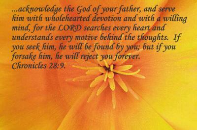 v3/14/98514/3/45454587.Chronicles28_9.jpg