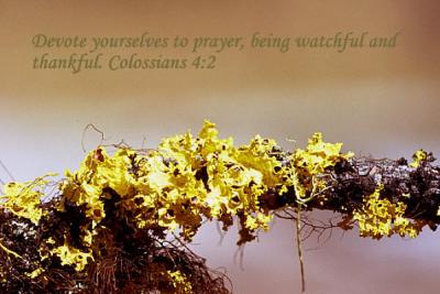 Colossians 4_2.jpg