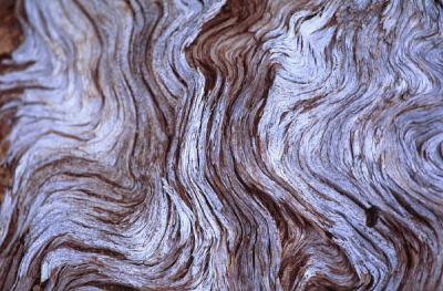  wood abstract