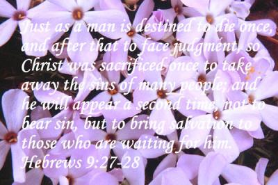 Hebrews 9_27-28
