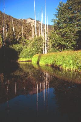 24 Crow Creek Reflection