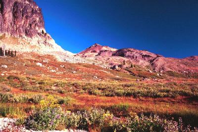 Goat Rocks landscape