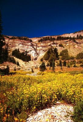 Klickitat Divide