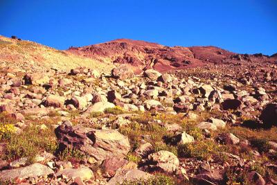 Goat Rocks Wilderness landscape
