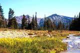 Conrad Creek landscape