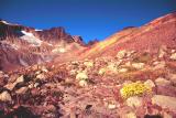 Goat Rocks Wilderness landscape