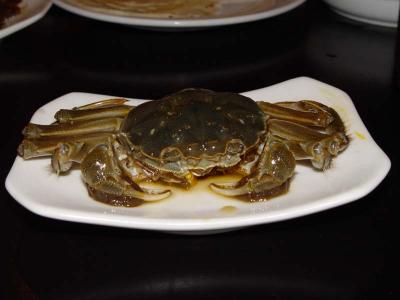 1221 - Drunken Crab