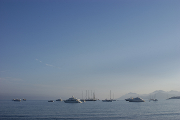 DSC_1500.jpg