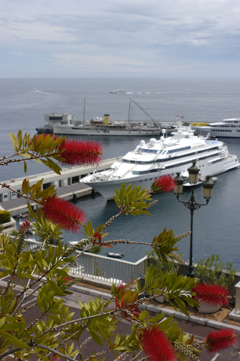 Port in Monaco.jpg