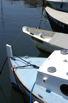 DSC_2305.jpg