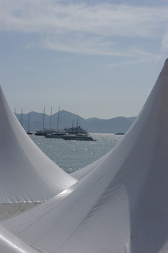 DSC_2439.jpg