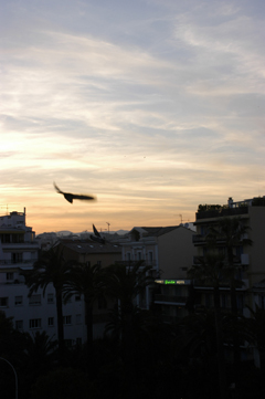 DSC_2766.jpg