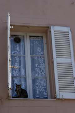 DSC_2869.jpg