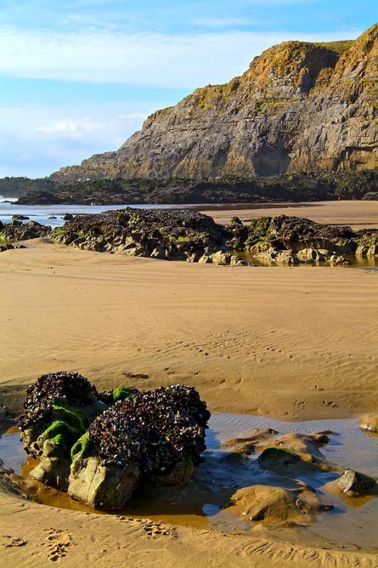 Burry Holms, Rhossili Bay