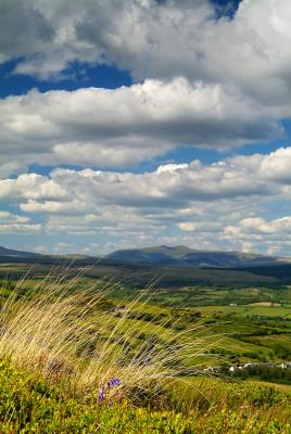 Overlooking the Dare Valley towards Pen-y-Fan