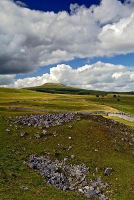 Spoil from the limestone quarry at Carnau Gwynion