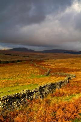 Pen-y-Fan in Autumn