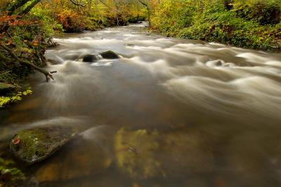 Autumn, Cwm Clydach