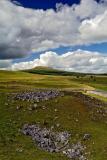 Spoil from the limestone quarry at Carnau Gwynion
