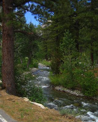 Creek Along Ebbett's