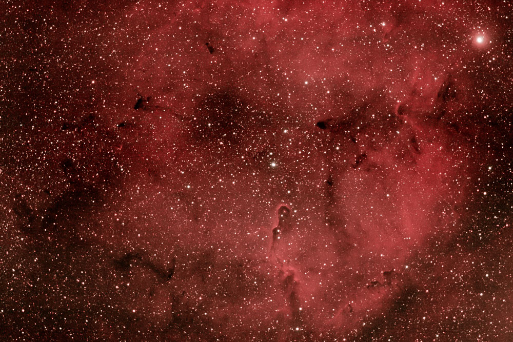 IC1396 in Cepheus