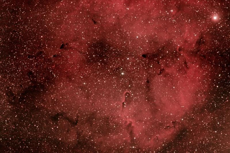 IC1396 in Cepheus