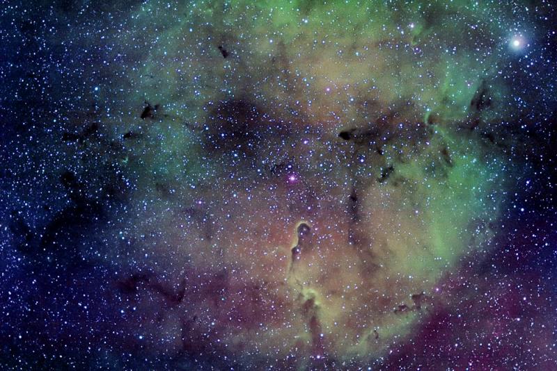 IC1396 in Cepheus