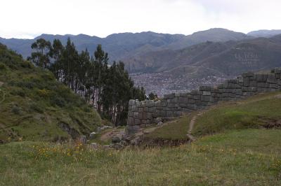 CRW_8821.jpg