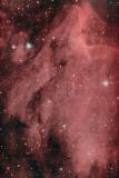 The Pelican Nebula ( IC5070/IC5067) in Cygnus