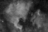 North America Nebula ( NGC7000) + Pelican Nebula ( IC5070/IC5067) in Cygnus