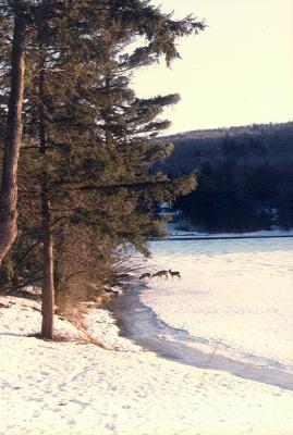 Valley Forge, NY