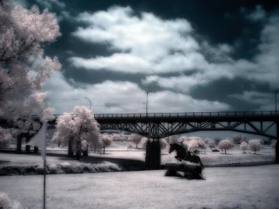 DSC09990.ir.jpg