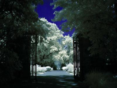 Gates of the Garden IR_filtered.jpg