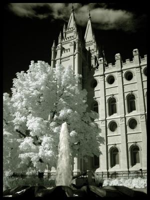 CRAIG KIRK'S GRAND TETON AND YELLOWSTONE IR IMAGES