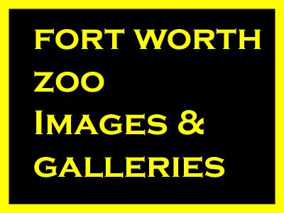 Fort Worth Zoo Images.jpg