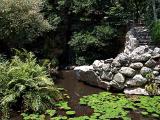 Zilker Botanical Gardens_04