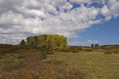 Aspen Island