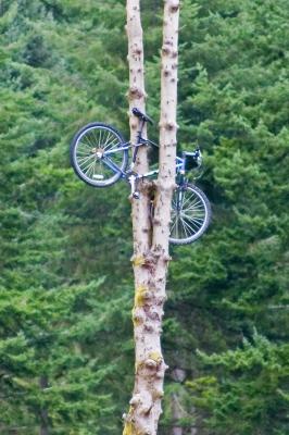 Must have been a big crash!