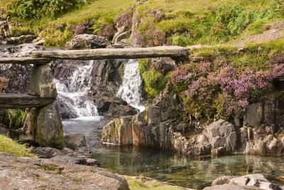 Bridge & falls