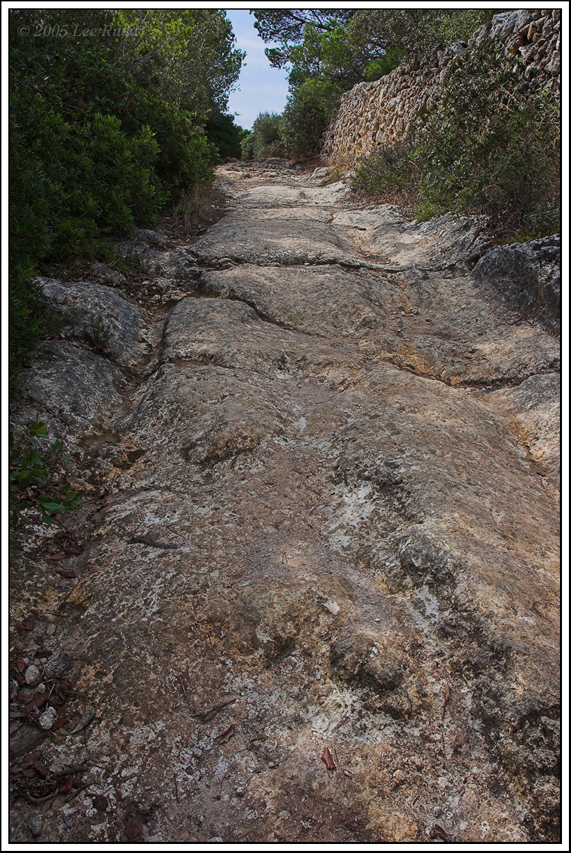 Rutted walkway