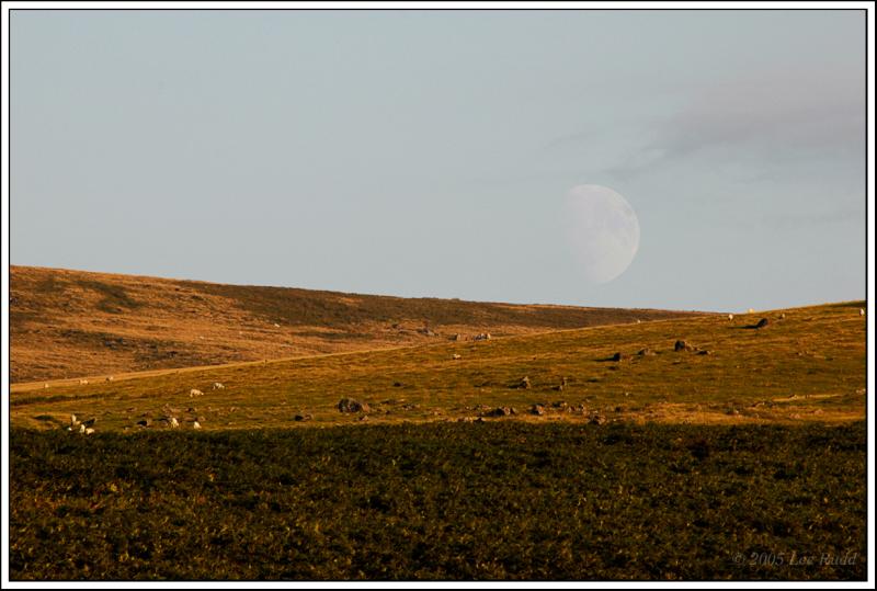 Rising Moon