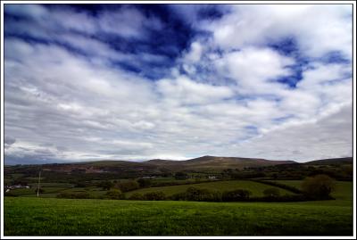 Dartmoor View