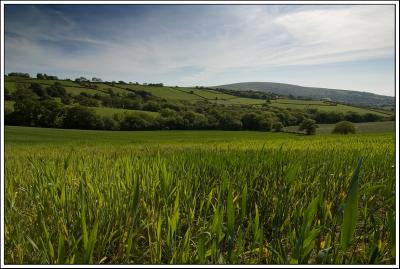 Valley, Dartmoor