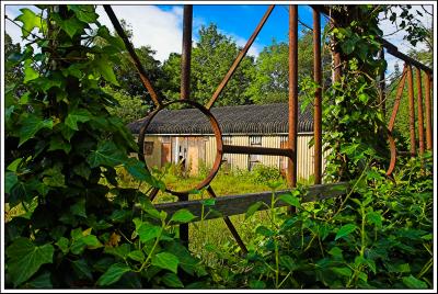 Abandoned Garden Centre, Okehampton