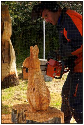 Wood carving - Power!