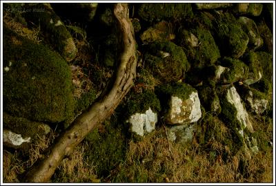 Dry Stone Wall detail