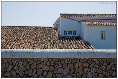 Rooflines, Turrialba