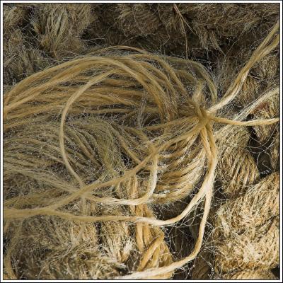 Rope pile in dew