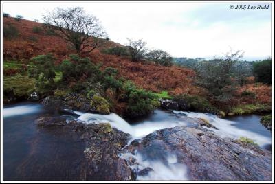 Ribbon Waterfall and Bracken