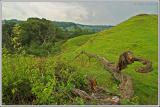 Cadbury Hill Fort